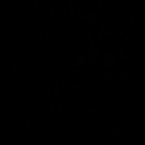 Meet your Posher, Maggie